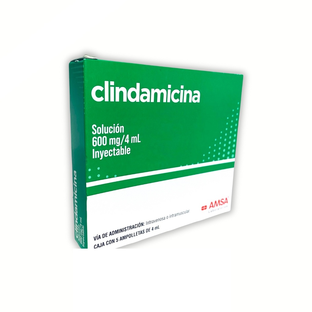 CLINDAMICINA SOL INY 600 MG/4 ML C/5 AMP LAB AMSA