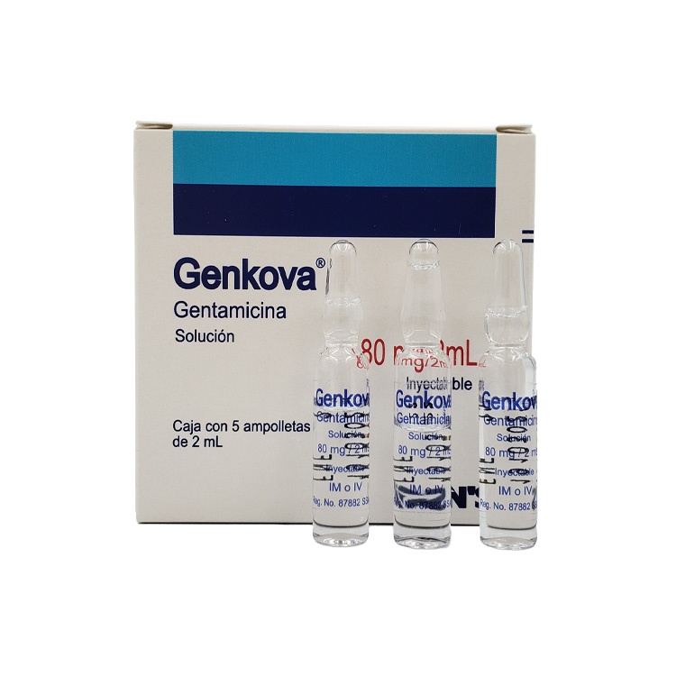GENTAMICINA SOL INY 80MG/2ML C/5 AMP GENKOVA LAB SONS