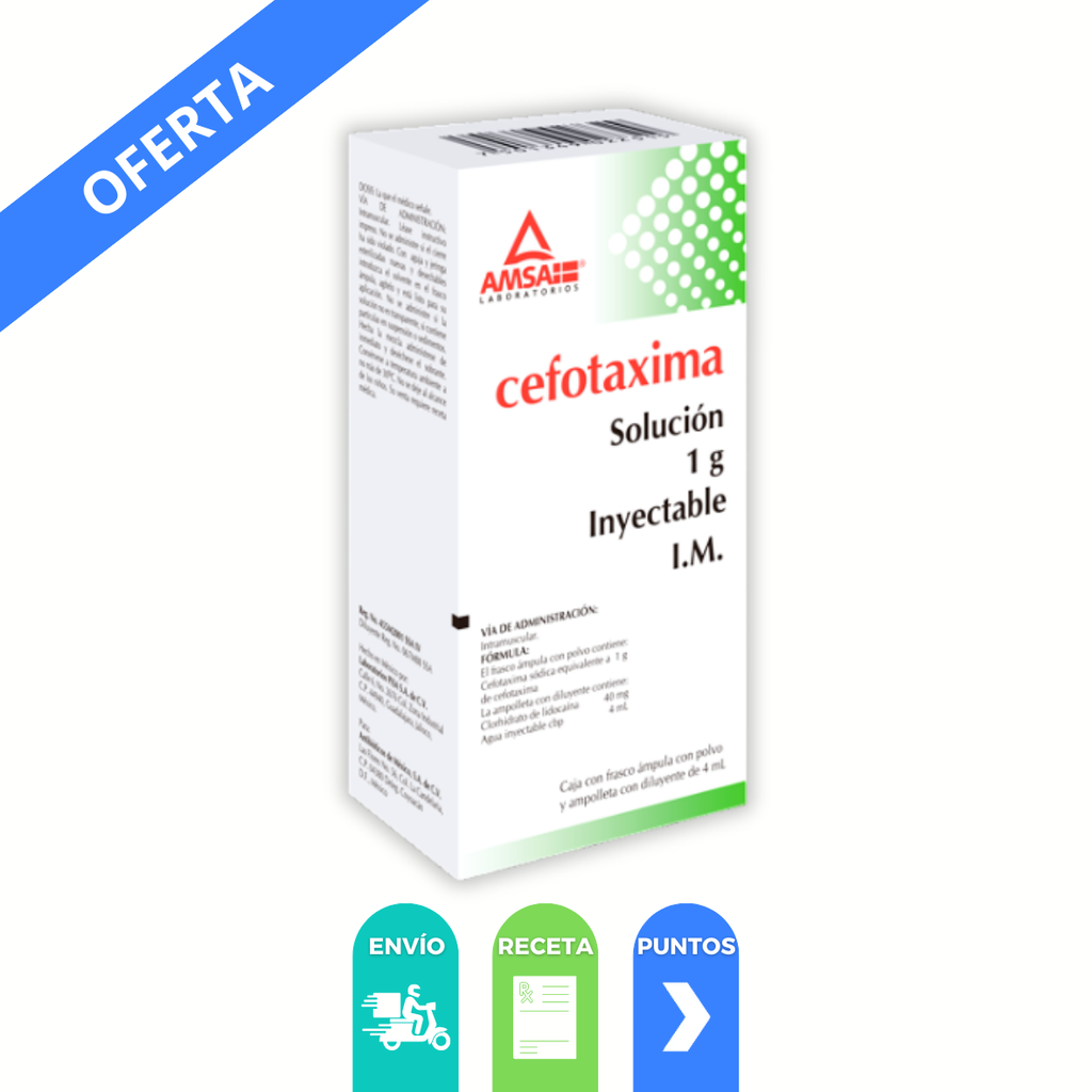 CEFOTAXIMA SOL INY 1 G IM LAB AMSA