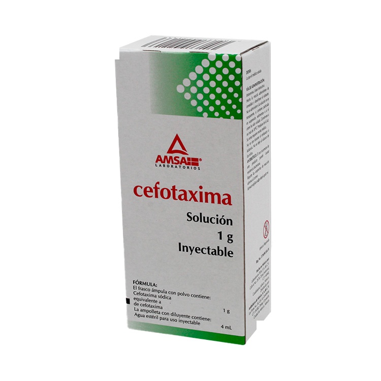 [2524] CEFOTAXIMA SOL INY 1 G IV AMSA