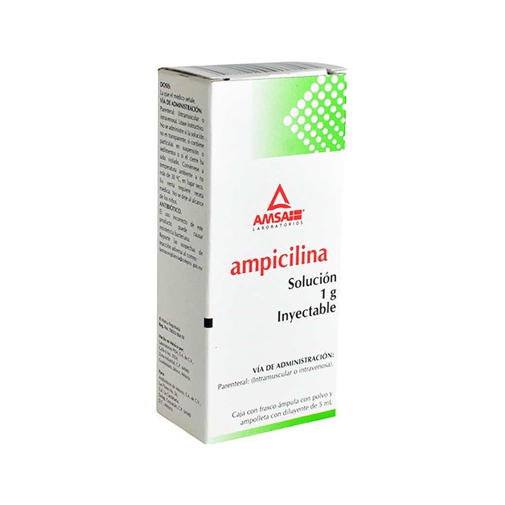 AMPICILINA SOL INY 1 GR LAB AMSA