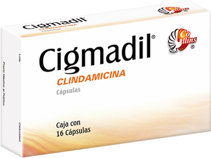 CLINDAMICINA 300 MG C/16 CAP CIGMADIL LAB COLLINS