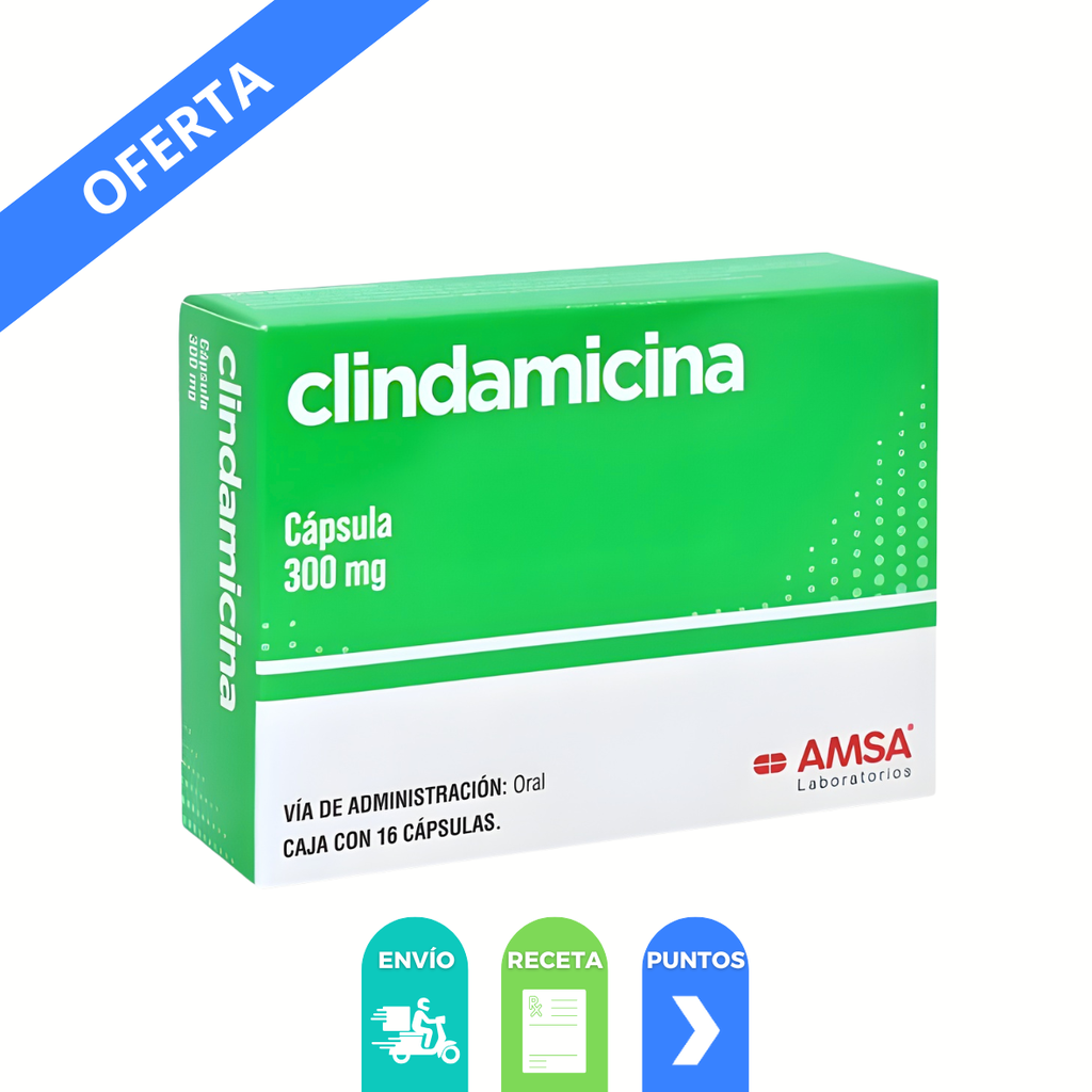 [4797] CLINDAMICINA 300 MG C/16 CAP LAB AMSA