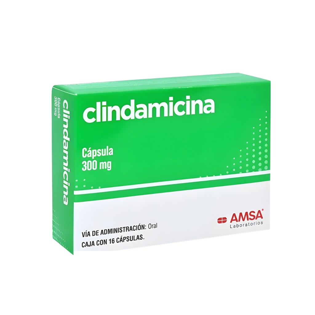 CLINDAMICINA 300 MG C/16 CAP LAB AMSA
