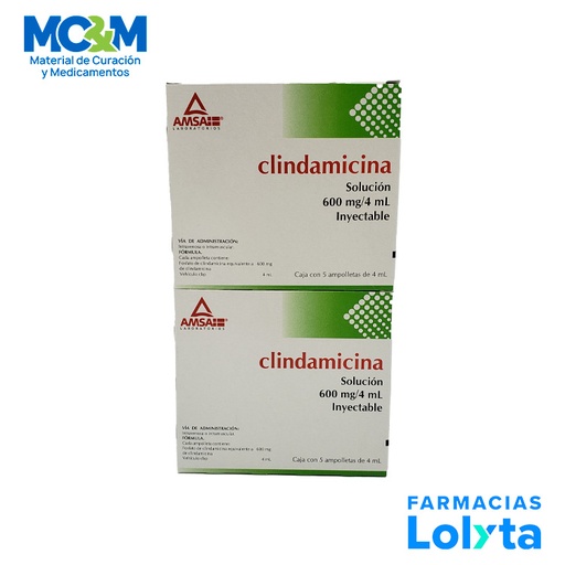 [2428] CLINDAMICINA SOL INY 600 MG/4 ML C/5 AMP LAB AMSA